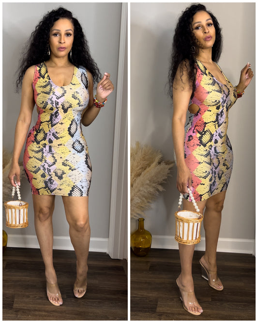 8060 Snake Away dress